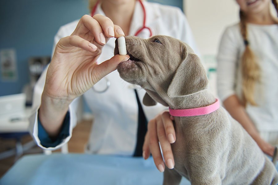 2. Fluoxetina Gel Transdérmico